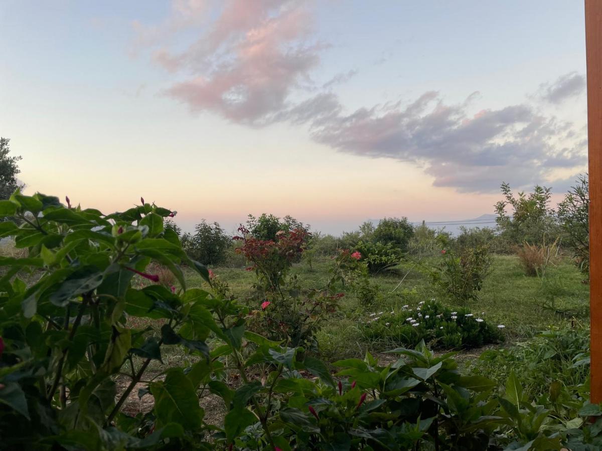 Вилла Chrissi'S House With Garden And Sea View Zerviana Киссамос Экстерьер фото
